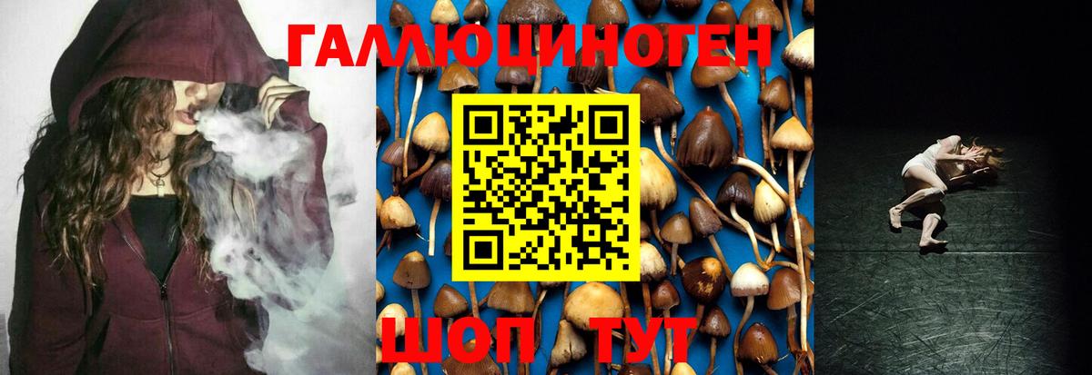 Псилоцибиновые грибы ЛСД  Псилоцибиновые грибы MAGIC MUSHROOMS  Кызыл  Вход с VPN 